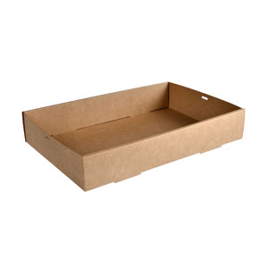 Catering Tray Large 450x31 ↨80